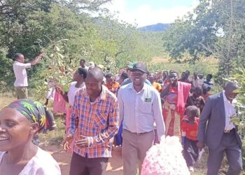 Kitti Peter wins Opinion Poll for T’oo county With 45.2%