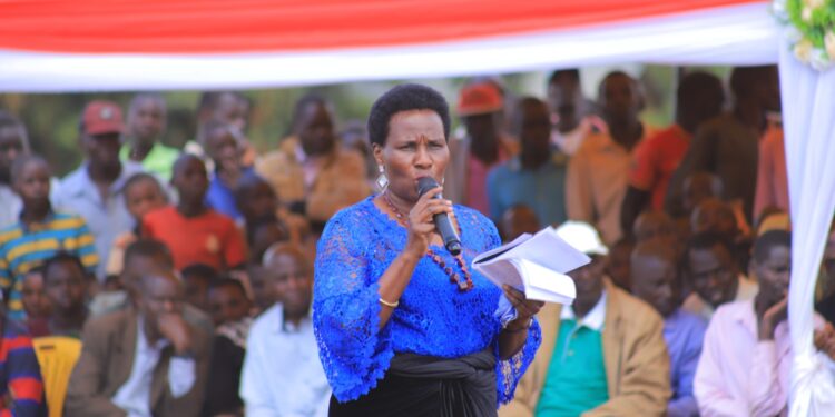 86,000 Targeted as Bukwo Begins Yellow Fever Vaccinations